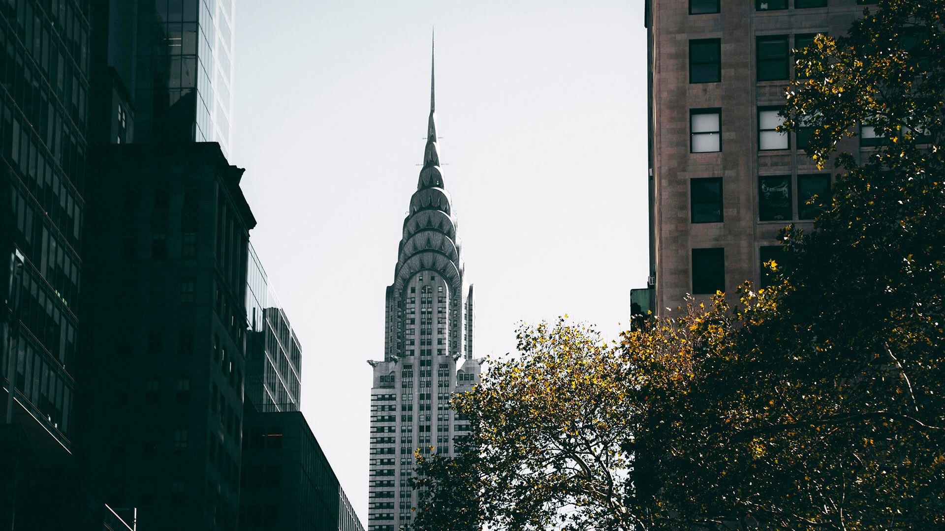 Chrysler Building's Art Deco spire rises between NYC buildings, framed by autumn trees in the foreground